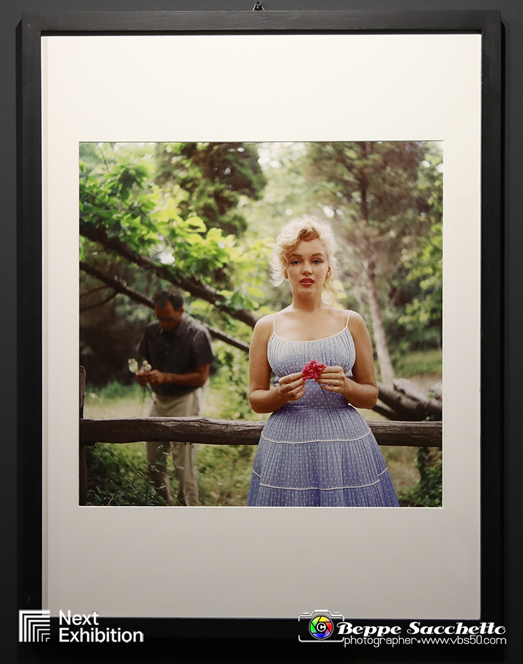 VBS_6944 - Mostra Forever Marilyn by Sam Shaw.jpg
